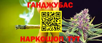 шишки Кимры