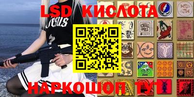 шишки Кимры