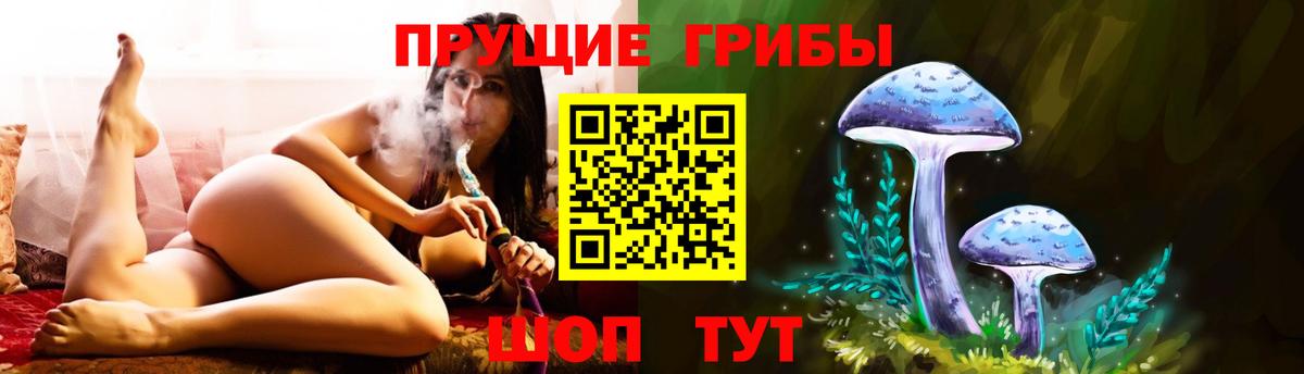 Галлюциногенные грибы MAGIC MUSHROOMS  Галлюциногенные грибы Magic Shrooms  Вход с VPN  Королёв 